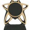 Disc Insert Star Resins - 6"