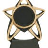 Disc Insert Star Resins - 7"
