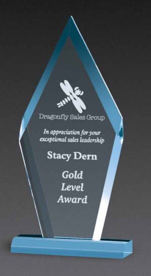 Arrowhead Award - Blue - 5" x 10¾"
