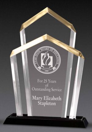 Chairman Award - 8½" x 12¼"