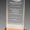 DiamondEdge Award - 5⅛" x 7 1/16" - Image 2