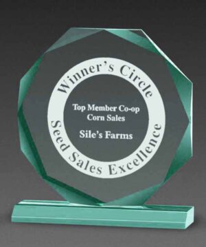 Beveled Octagon Awards - Jade - 8" x 8¾"
