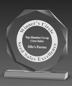 Beveled Octagon Awards - Clear - 8" x 8¾"