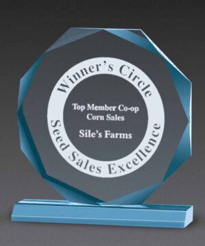 Beveled Octagon Awards - Blue - 7" x 7¾"