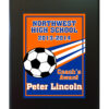 Color Value Sport Dash Plaque - Image 2