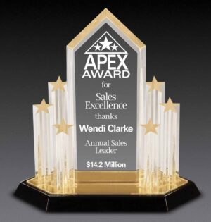 Stellar Performance Award - 11" x 10¾"