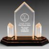 Tridant Award - 10⅜" x 8¼"