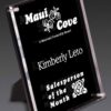 Valued Stand Out Plaque - 7½" x 9⅜" - Image 2